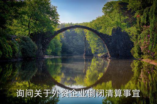 沈陽投資公司跑路市政府什么解決，詢問關(guān)于外資企業(yè)倒閉清算事宜