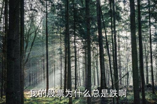 捷城股份為什么一直跌，有被捷成投資騙的人嗎咱們一起去告他