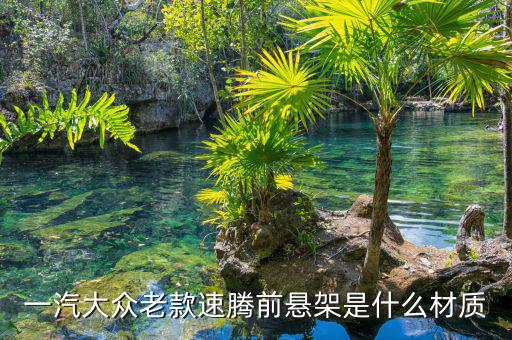 速騰懸掛是什么材質(zhì)，速騰前懸架下擺臂是什么材質(zhì)