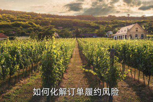 什么訂單執(zhí)行風(fēng)險(xiǎn)，淘寶訂單險(xiǎn)的問題