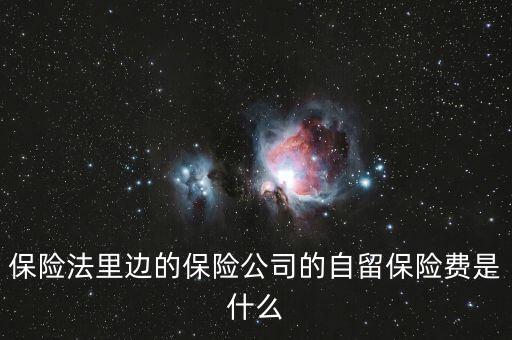 保險(xiǎn)法里邊的保險(xiǎn)公司的自留保險(xiǎn)費(fèi)是什么