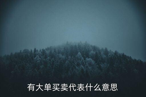 在買5成交有大單是什么意思，股票中大單是什么意思