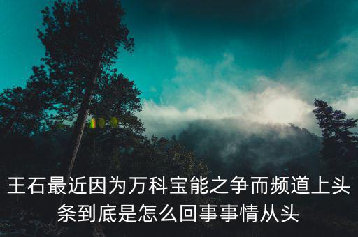 王石現(xiàn)在忙什么，王石現(xiàn)在在干什么