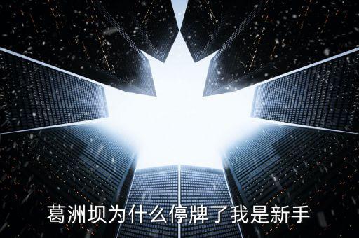 葛洲壩為什么停牌，葛洲壩為什么8月21日停牌