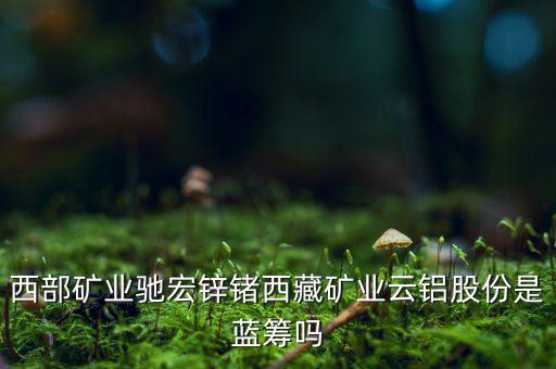 大股為什么拋西藏礦業(yè)，西部礦業(yè)馳宏鋅鍺西藏礦業(yè)云鋁股份是藍(lán)籌嗎