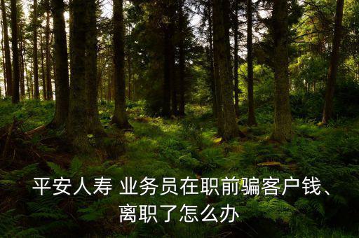  平安人壽 業(yè)務(wù)員在職前騙客戶錢、離職了怎么辦