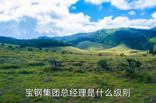 寶鋼研究院院長是什么級別，上海寶鋼集團是行政什么級單位
