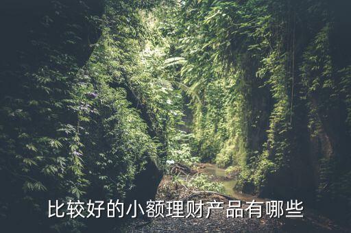 有什么小額理財產(chǎn)品，小額理財投資產(chǎn)品有哪些