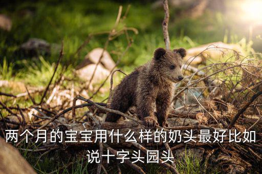生孩子2個月用什么之勢比較好，兩個月的寶寶用什么樣的奶頭最好比如說十字頭園頭