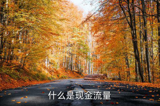 什么是現(xiàn)金流量，現(xiàn)金流量是指什么說得簡單一點謝謝