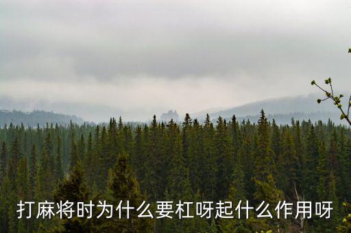 為什么要用杠桿，為什么有些杠桿要設(shè)計成費力的呢