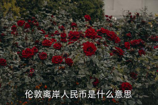 離岸人民幣是什么意思，在岸人民幣和離岸人民幣是什么意思