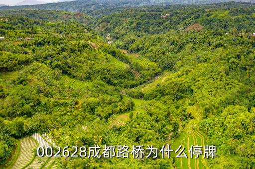 成都路橋今天什么情況，今天早成都等路橋的航班有沒有停航