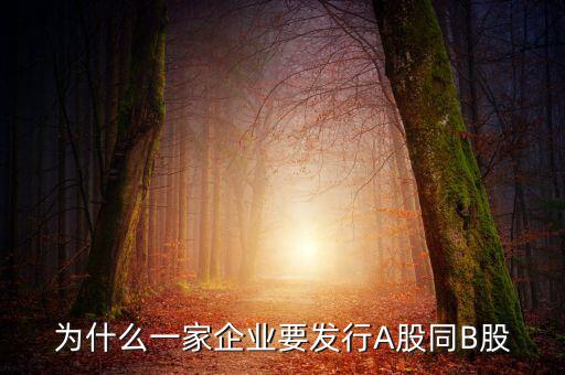為什么發(fā)行b股，為什么一家企業(yè)要發(fā)行A股同B股