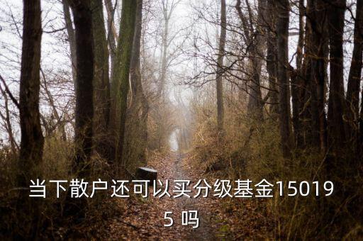 當(dāng)下散戶還可以買(mǎi)分級(jí)基金150195 嗎