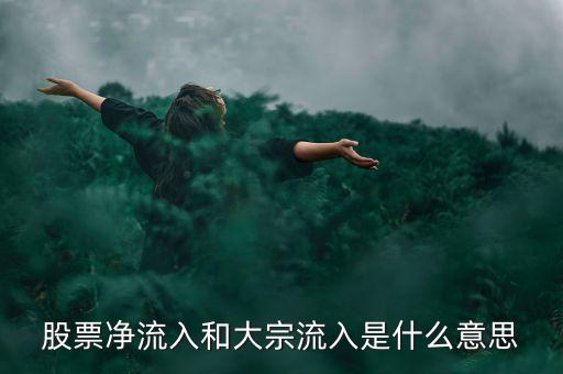 股票大宗流入是什么意思，股票凈流入額大宗流入什么意思