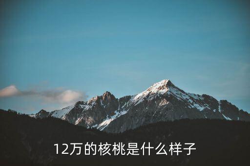 36萬(wàn)核桃長(zhǎng)什么樣，大家看這個(gè)核桃做的怎樣值多少