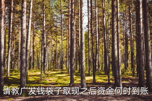 廣發(fā)錢袋子墊資什么時(shí)候，廣發(fā)錢袋子前天周末為什么沒(méi)有收益今天周一收益還沒(méi)出來(lái)