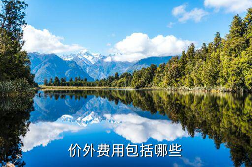 政府性基金是什么意思，何為政府性資金國(guó)有企業(yè)投資時(shí)其資本金部分算不算政府資金