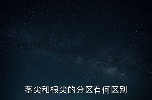 外高橋分區(qū)指按部屬于什么級(jí)別，上海市外高橋保稅區(qū)是屬于什么區(qū)