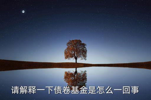 什么是債券基金的年回報，債券基金持有一年左右大概收益會是多少