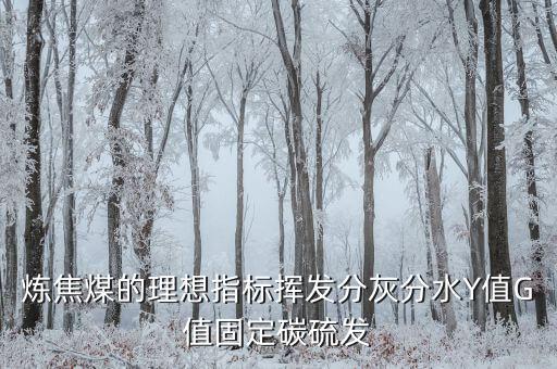 煉焦煤的理想指標揮發(fā)分灰分水Y值G值固定碳硫發(fā)