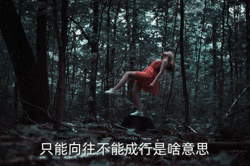 未能成行是什么意思，只能向往不能成行是啥意思