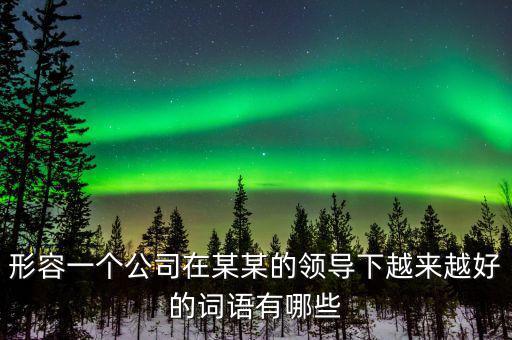 形容一個(gè)公司在某某的領(lǐng)導(dǎo)下越來越好的詞語(yǔ)有哪些
