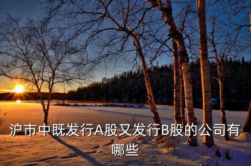 上市公司既生a股又發(fā)行了b股的有什么公司，滬市中既發(fā)行A股又發(fā)行B股的公司有哪些