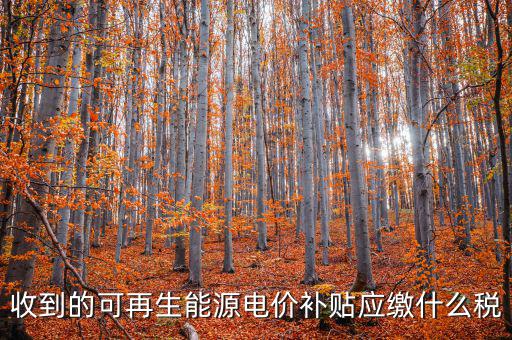 收到的可再生能源電價補貼應(yīng)繳什么稅