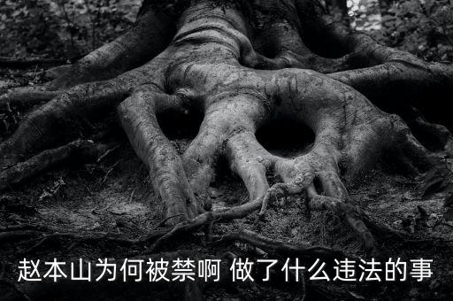 趙本山作品為什么禁播，趙本山的小品怎么也不讓播了