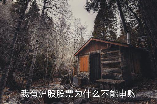 為什么我不能申購滬市新股，我有滬股股票為什么不能申購