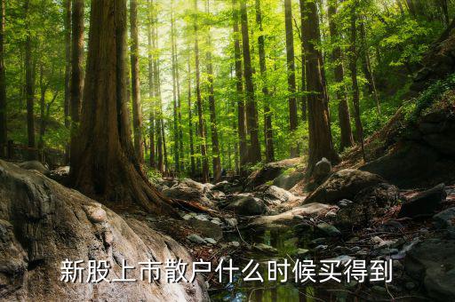 散戶什么時(shí)候才能買(mǎi)到新股，新股上市散戶什么時(shí)候買(mǎi)得到