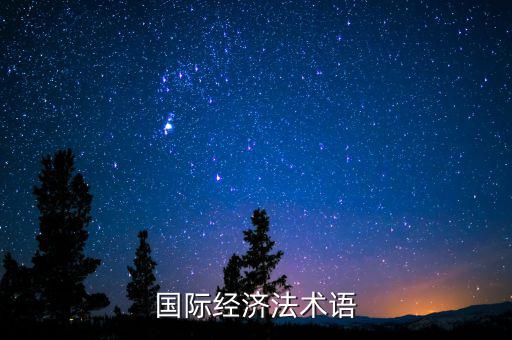 國際經(jīng)濟法術(shù)語