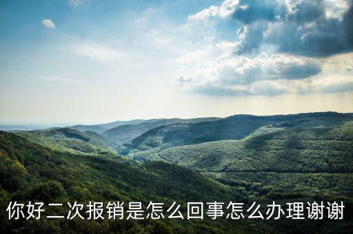 你好二次報銷是怎么回事怎么辦理謝謝