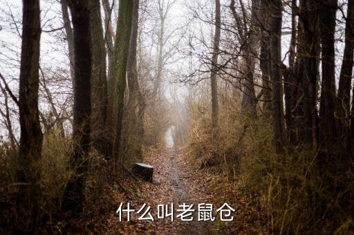 什么是老鼠倉(cāng)圖形，股票中什么是老鼠倉(cāng)呢簡(jiǎn)明即可