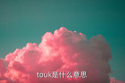touk是什么意思