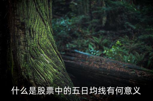5日均線有什么用，什么是股票中的五日均線有何意義