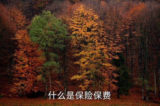 什么是保單保費(fèi)，什么是保險保費(fèi)