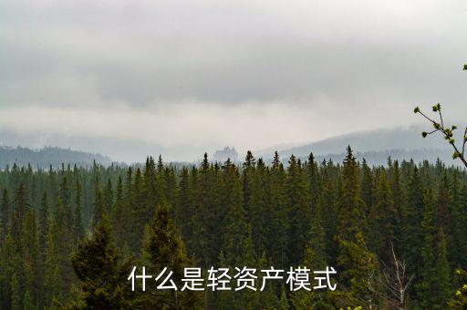 什么是輕資產模式