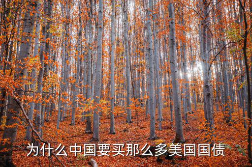 為什么要買美國國債，為什么要買那么多美國國債