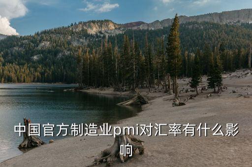 中國官方制造業(yè)pmi對匯率有什么影響