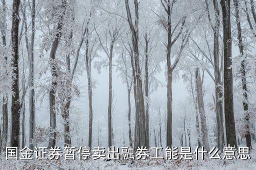 暫停融券是什么意思，國(guó)金證券暫停賣出融券工能是什么意思