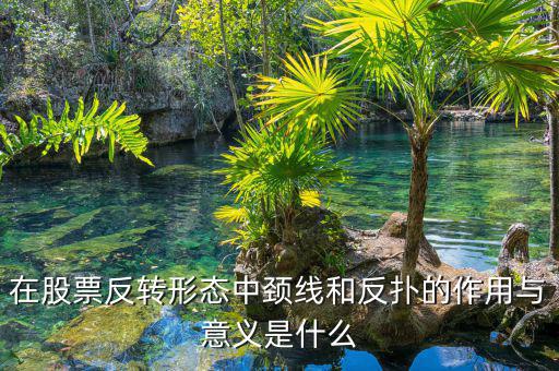 股票反撲是什么意思，在股票反轉(zhuǎn)形態(tài)中頸線和反撲的作用與意義是什么