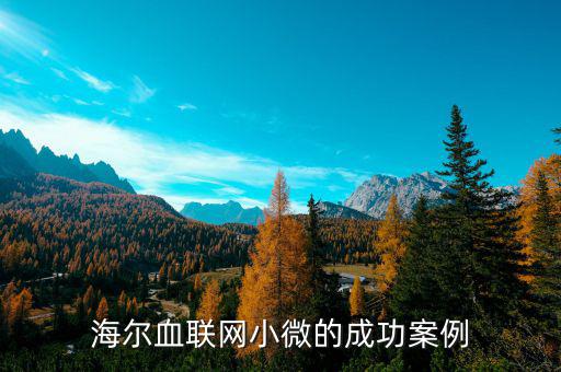海爾血聯(lián)網小微的成功案例