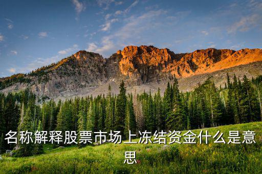 股票交易資金凍結(jié)什么意思，名稱解釋股票市場上凍結(jié)資金什么是意思