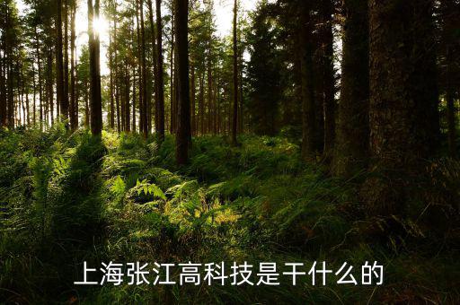 上海張江高科技是干什么的