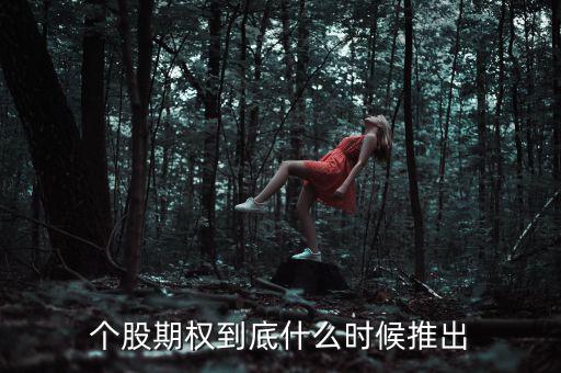 什么時(shí)候推出個(gè)股期權(quán)，股票期權(quán)什么時(shí)間開(kāi)始