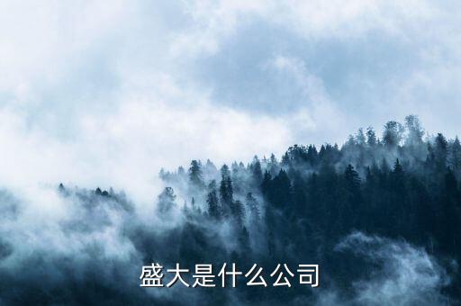 盛大集團是經(jīng)營什么，盛大是什么公司