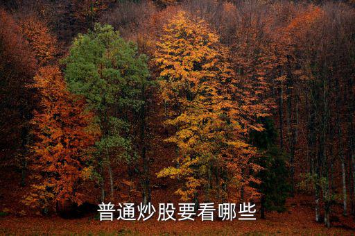 炒股每天都看什么，炒股究竟看什么怎么看